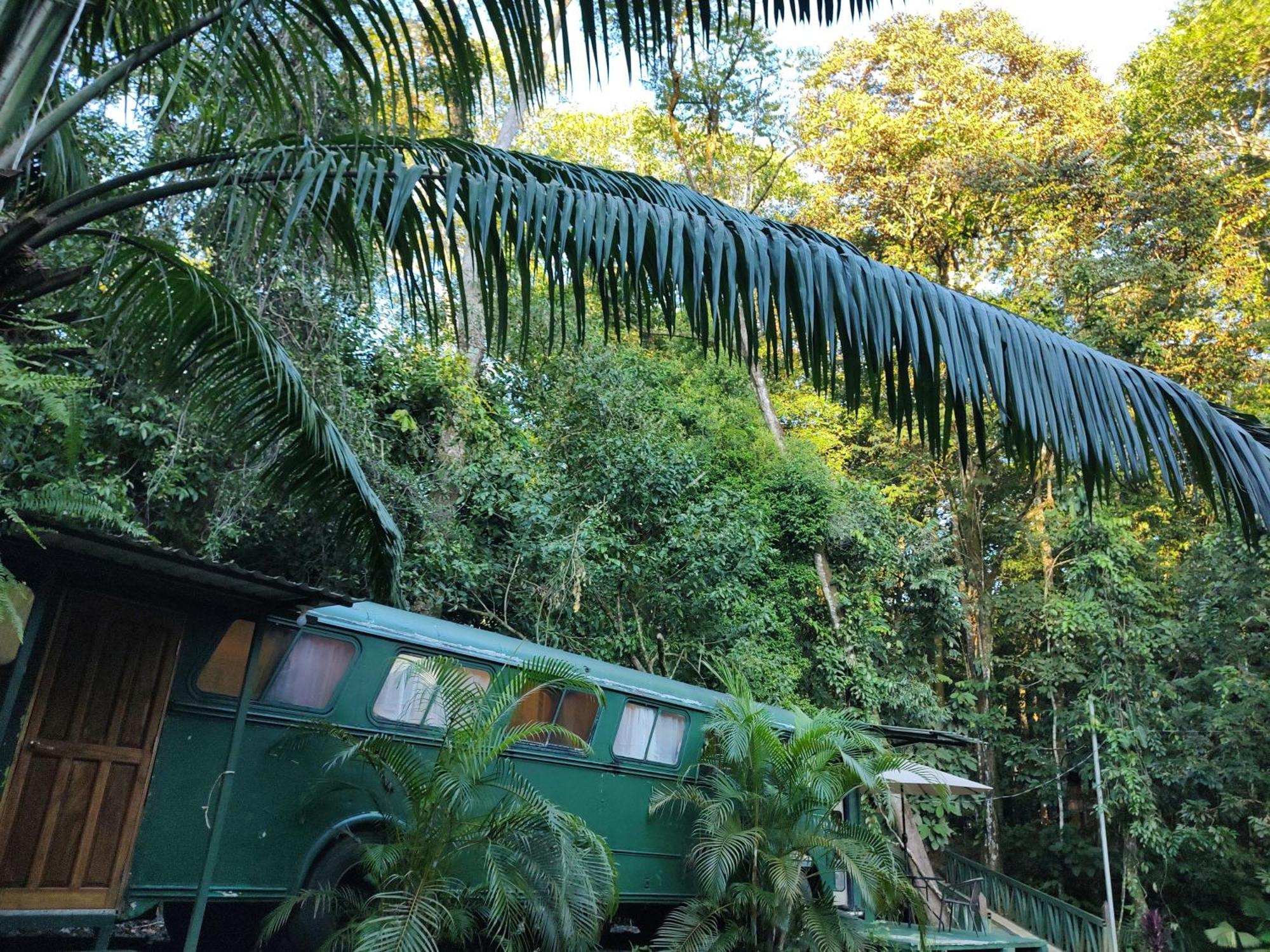Cool Waters Jungle Villas Uvita Exterior foto